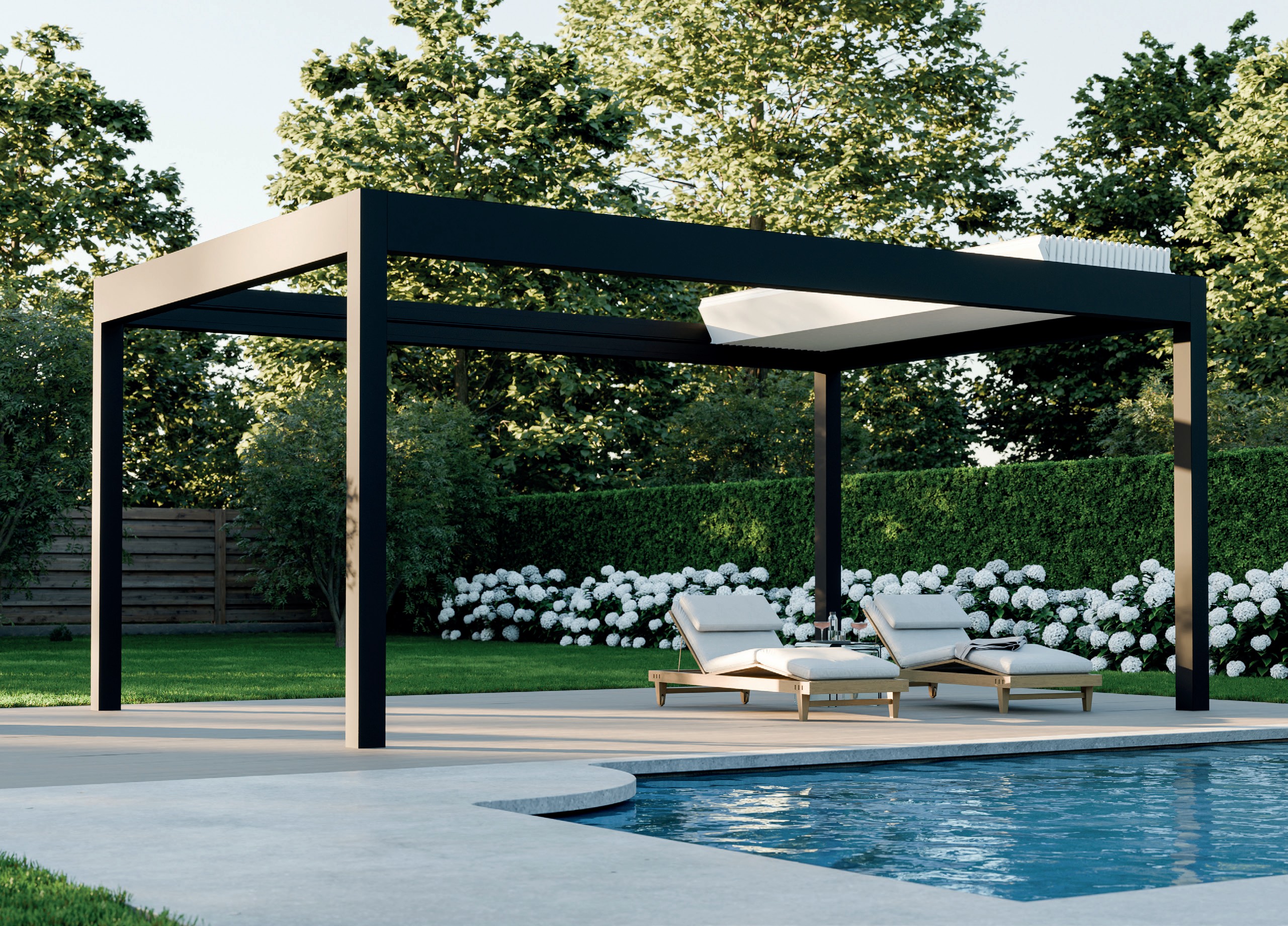 Pinela Deluxe Plus